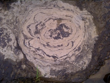 Stromatolithe_Outaouais_2