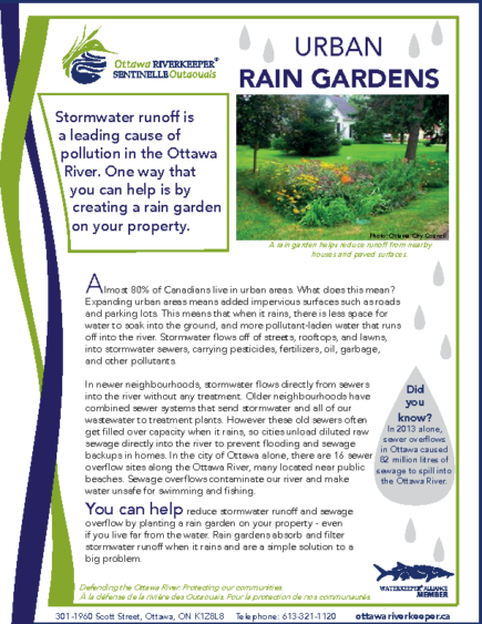 Urban Rain Gardens