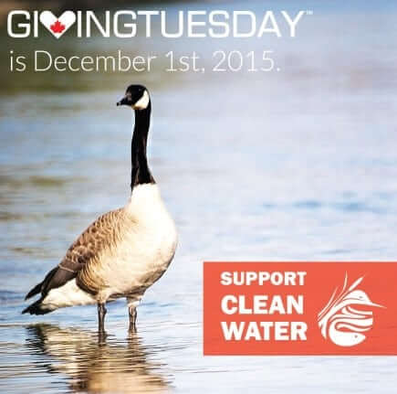 Giving Tuesday 4