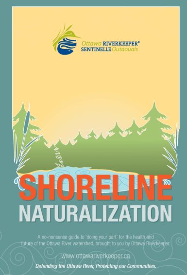 Shoreline Naturalization