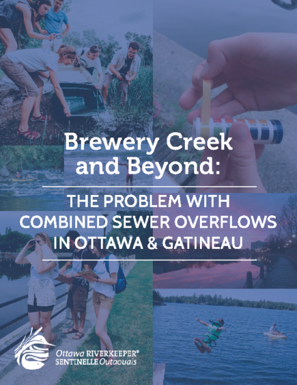 Brewery Creek and Beyond