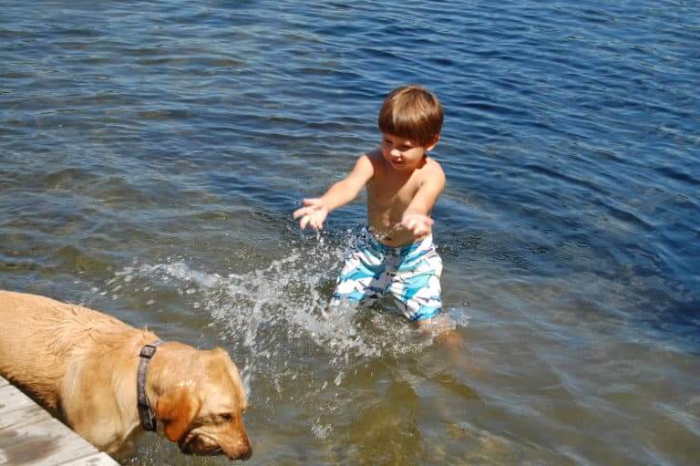 A boy plays in clean water with his dog