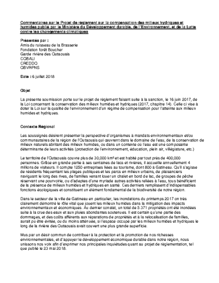 Submission on Regulating Quebec Wetlands