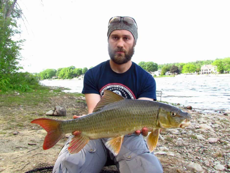 Protecting a species of special concern: River Redhorse - Ottawa ...