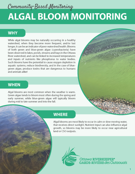 A screenshot of our algal bloom monitoring guide, availble as a PDF.