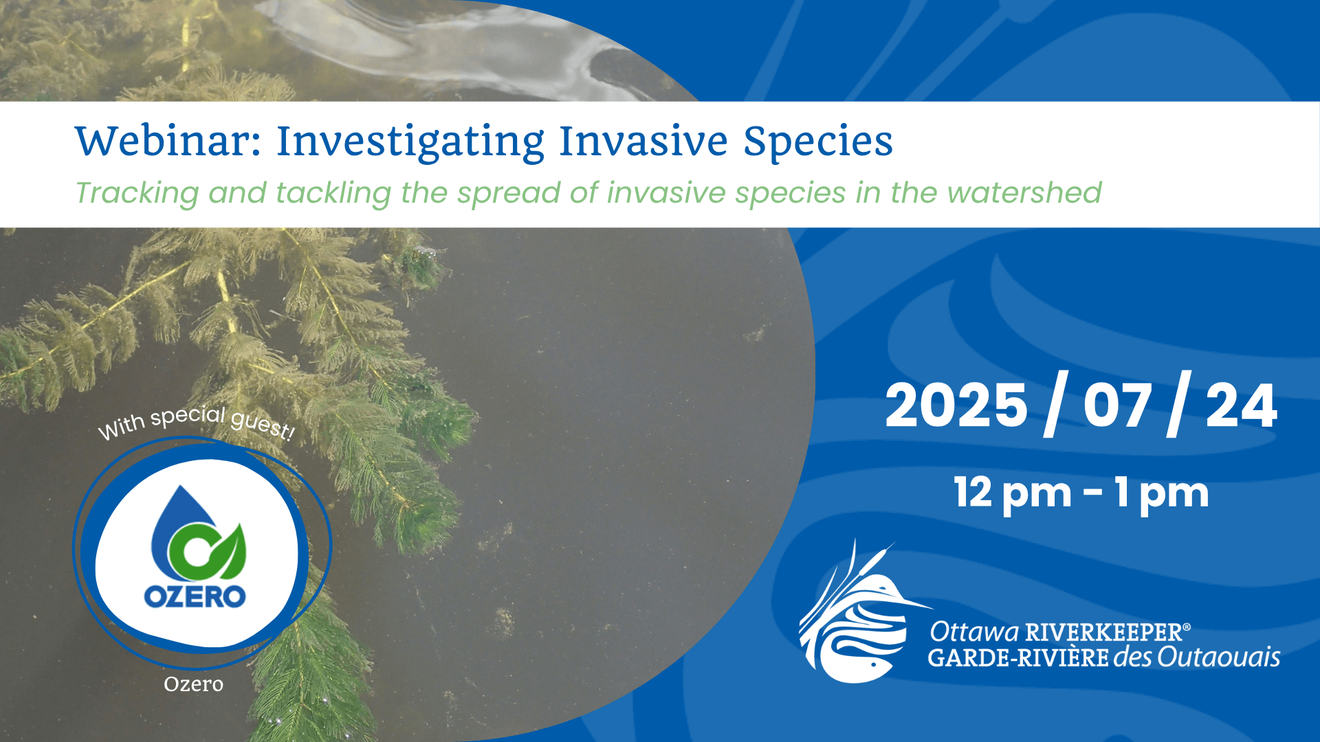 Webinar: Investigating Invasive Species – July 24th, 2025 - Ottawa ...